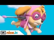 Paw Patrol - Meet- Skye! - Nick Jr