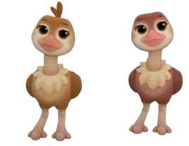 Baby ostriches