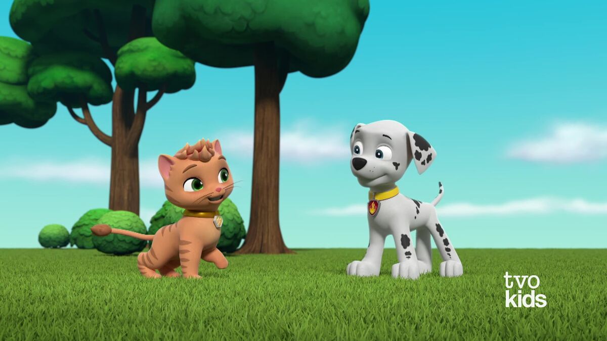 Cat Pack: Skye and Rory Flip It, PAW Patrol Wiki