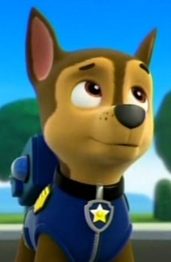 paw patrol chase cap
