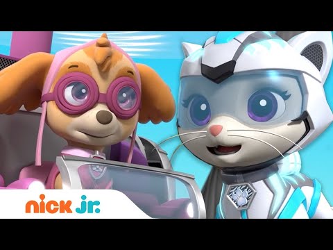 Cat Pack: Skye and Rory Flip It/Videos, PAW Patrol Wiki