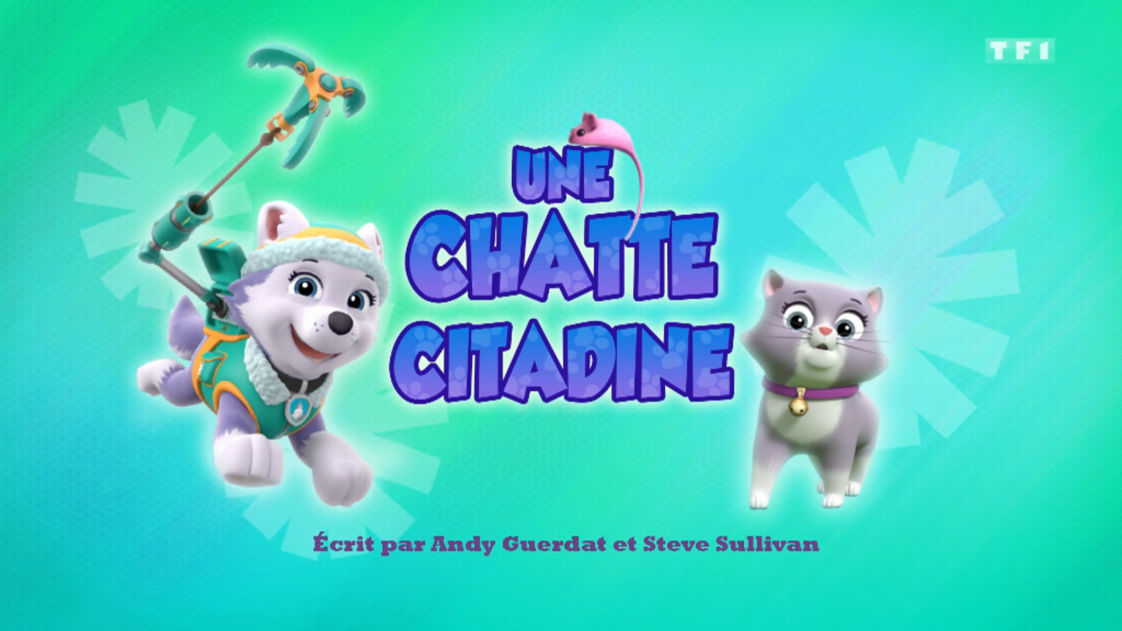 Paw patrol callie toy online