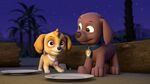 PAW.Patrol.S02E16.Pups.Save.a.Mer-Pup.720p.WEBRip.x264.AAC 115582