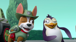 PAW Patrol 322 Scene 26