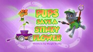 PAW Patrol Stinky Flower Title Card