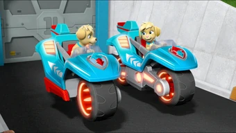 paw patrol mighty pups twins toys