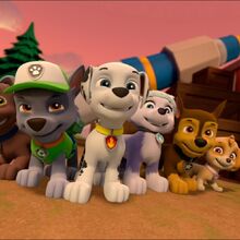 ultimate everest paw patrol