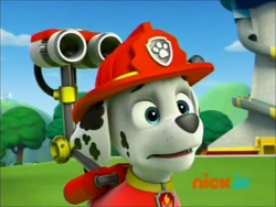 Marshall, PAW Patrol Wiki