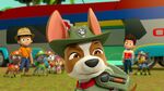 Paw.Patrol.S03E25.Tracker.Joins.the.Pups.720p.WEB-DL.AAC2.0.H264-BTN 652652