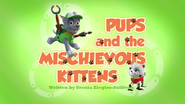 Pups and the Mischievous Kittens (HD)