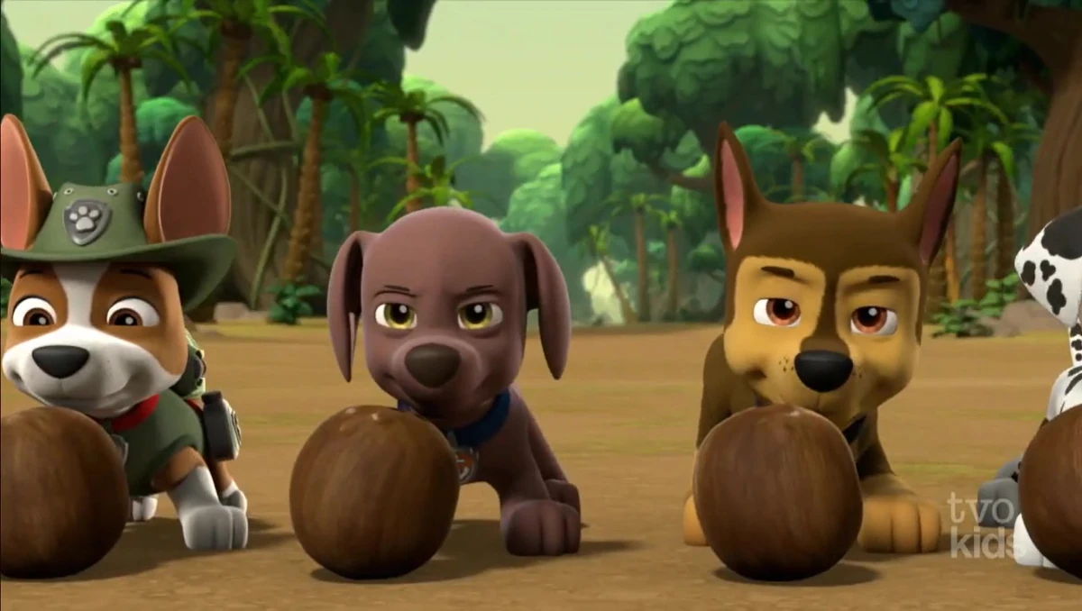Zuma/Gallery/Pups Save a Lost Gold Miner | PAW Patrol Wiki | Fandom