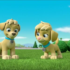 るーのすけella tuck alapants るーのすけella tuck alapants Tuck and Ella (PAW Patrol