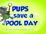 Pups Save a Pool Day