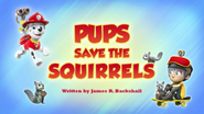 Pups Save the Squirrels (HQ)