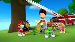 PAW.Patrol.S01E26.Pups.and.the.Pirate.Treasure.720p.WEBRip.x264.AAC 994193