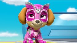 Skye Meets the Mighty Twins and MORE, PAW Patrol