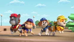 R&C Roller Coaster 231