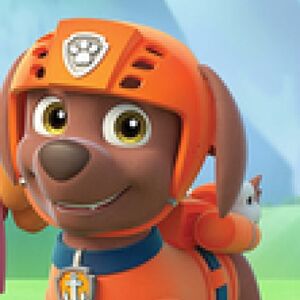 zuma pup paw patrol