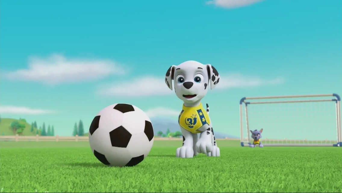 Paw patrol ball game discount