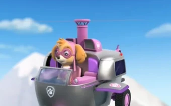 Skye Trivia Paw Patrol Wiki Fandom