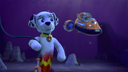Marshall Gallery Merpups Save the Turbots PAW Patrol Wiki Fandom