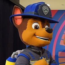 paw patrol marshall walking toy