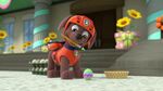 PAW.Patrol.S01E21.Pups.Save.the.Easter.Egg.Hunt.720p.WEBRip.x264.AAC 494060