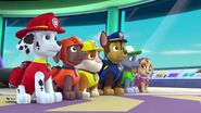 PAW Patrol Season 2 Episode 10 Pups Save a Talent Show - Pups Save the Corn Roast 384017