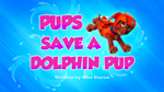Pups Save a Dolphin Pup