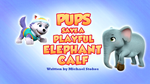 Pups Save a Playful Elephant Calf (HQ)