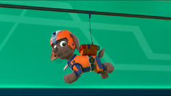 Paw patrol air rescue zuma new arrivals