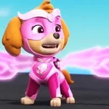 paw patrol mighty pups skye