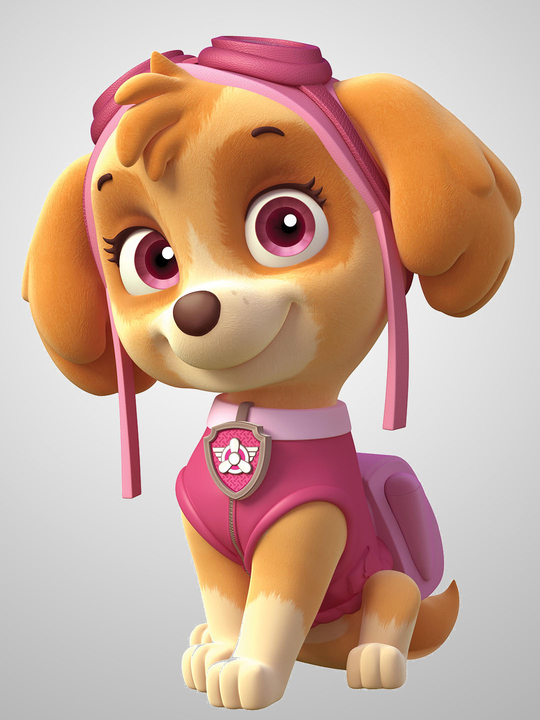 Roxi, PAW Patrol Wiki