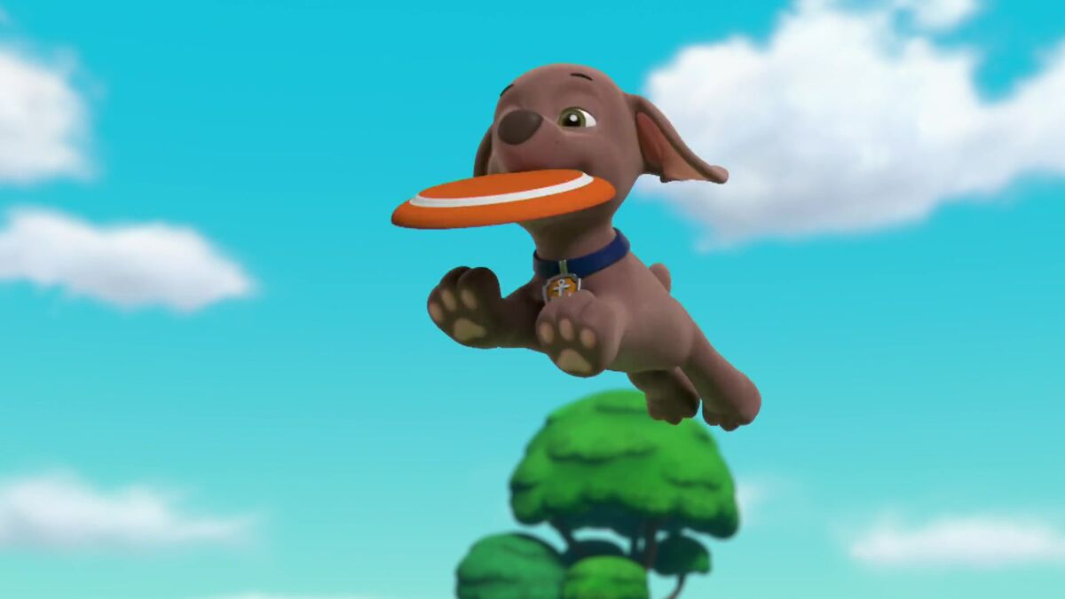 Zuma/Gallery/Pups Save a Rubble-Double | PAW Patrol Wiki | Fandom