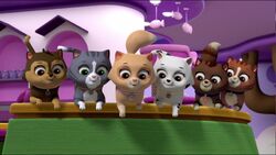 Cat Rubble/Gallery/Pups and Katie Stop the Barking Kitty Crew, PAW Patrol  Wiki