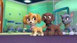 PAW.Patrol.S01E21.Pups.Save.the.Easter.Egg.Hunt.720p.WEBRip.x264.AAC 199232