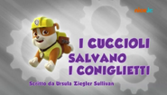 "Pups Save the Bunnies" ("I cuccioli salvano i coniglietti") title card on Nick Jr.