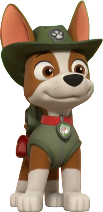 What Dog Breeds are the Paw Patrol: Discover the Ultimate Canine Heroes!