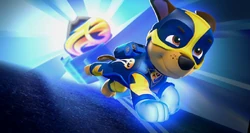 Chase | PAW Patrol Wiki | Fandom