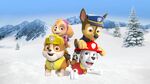 Paw patrol chase marshall rubble and skye freeze dance