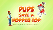 Pups Save a Popped Top (HQ)