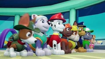 Paw patrol on sale nintendo 3ds