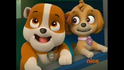 Skye/Gallery/Pups Save the Parrot | PAW 