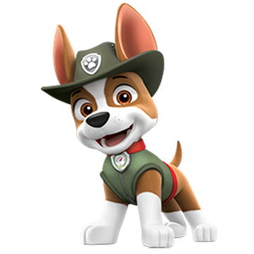 Green hat paw patrol