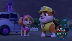 PAW Patrol Pups Save a High-Flying Skye/Pups Go for the Gold (TV