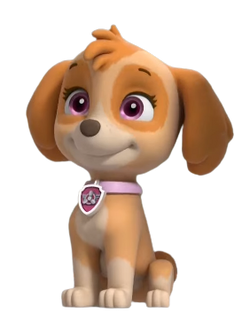 Paw patrol sky new arrivals