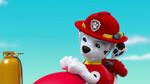 PAW.Patrol.S02E03.Pups.Save.Jake.-.Pups.Save.the.Parade.720p.WEBRip.x264.AAC 907407