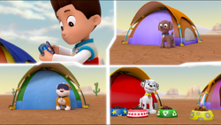 Zuma and the Pups Save a Pony 🐴, PAW Patrol Rescue Episode