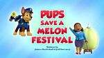 Pups Save a Melon Festival