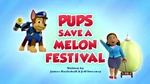 Pups Save a Melon Festival.jpeg (318 KB)